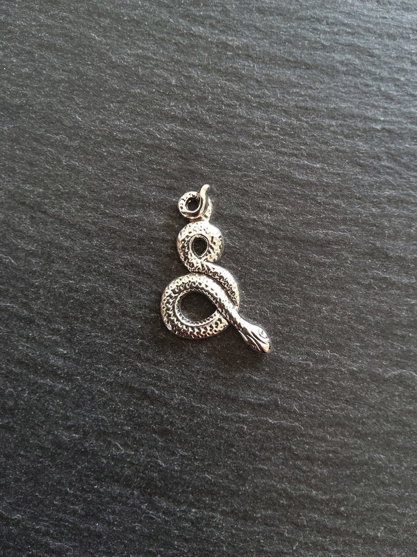 Antique Silver Tone Alloy Snake Charms 31x16mm