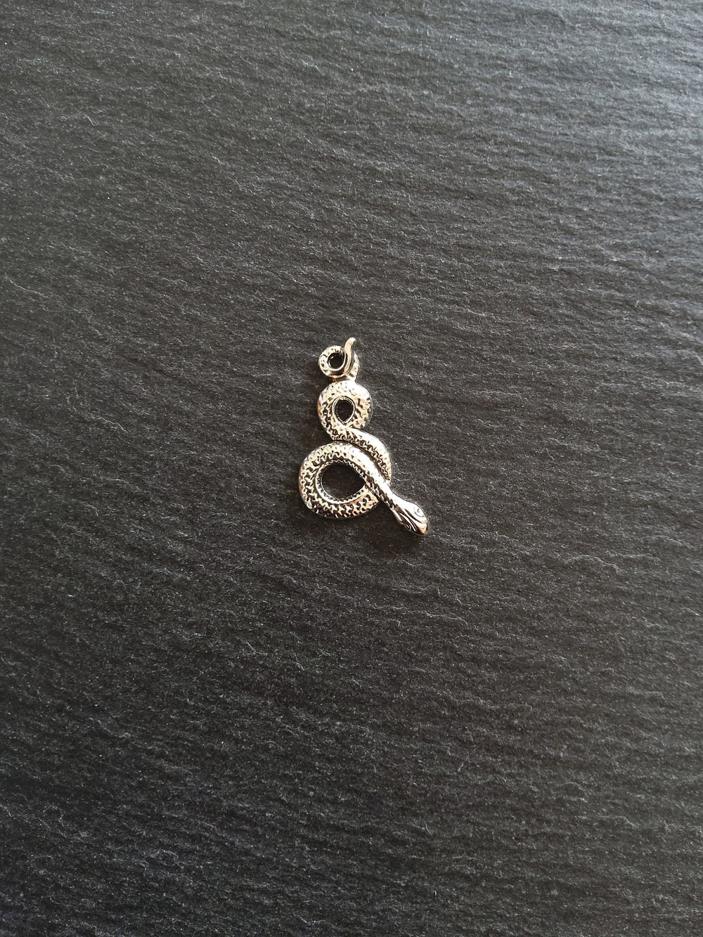 Antique Silver Tone Alloy Snake Charms 31x16mm