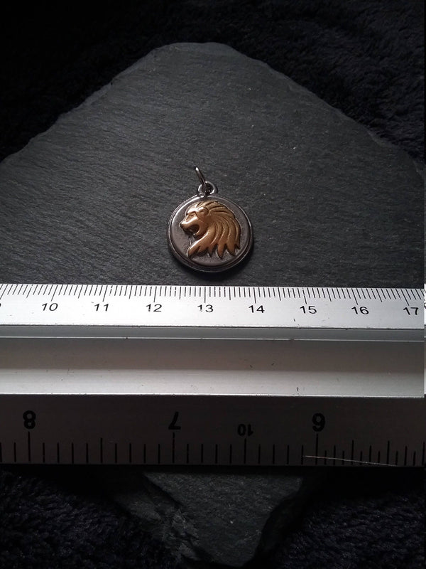 Surgical Steel Lion Charm Pendant Silver & Gold Tone 19x23x4mm