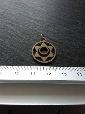 1 or 5 Stainless Steel Sacral Chakra Svadhishthana Flower Charms Flat 22x19mm