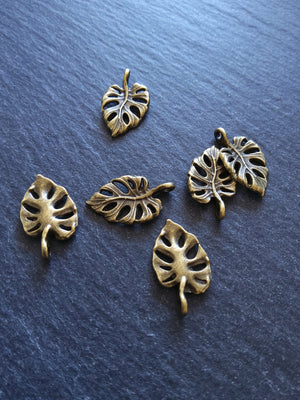10 or 50 Swiss Cheese Plant Leaf Charms Monstera Deliciosa Antique Bronze Alloy 20x12x2mm