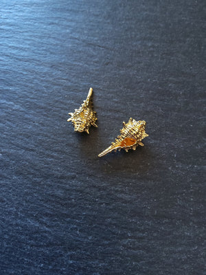 2 or 10 Conch Sea Shell Charms Real 18K Gold Plated Brass 20x11x9mm Nickel FREE