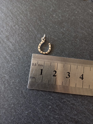 2 or 10 Lucky Horse Shoe Charms Stainless Steel 13.5x10mm