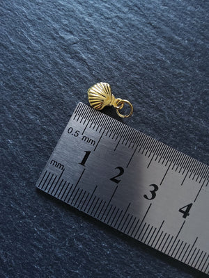 Sea Shell Charms Real Gold Plated Brass 11x8x2.8mm - ContentedCatz