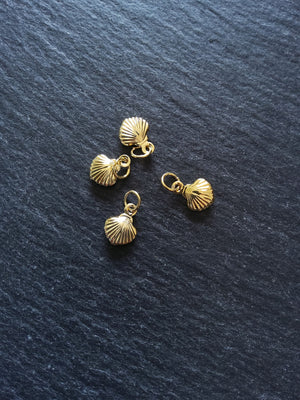 Sea Shell Charms Real Gold Plated Brass 11x8x2.8mm - ContentedCatz