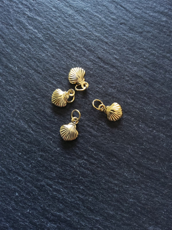Sea Shell Charms Real Gold Plated Brass 11x8x2.8mm - ContentedCatz