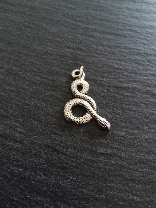 Antique Silver Tone Alloy Snake Charms 31x16mm