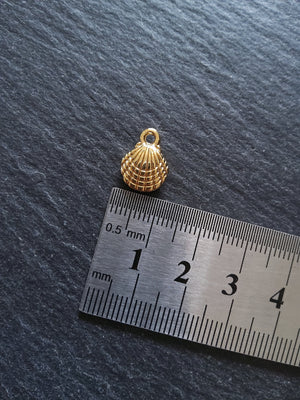 2 or 10 Sea Shell Charms Real 14K Gold Plated Alloy 13.5x10x4mm. Nickel FREE