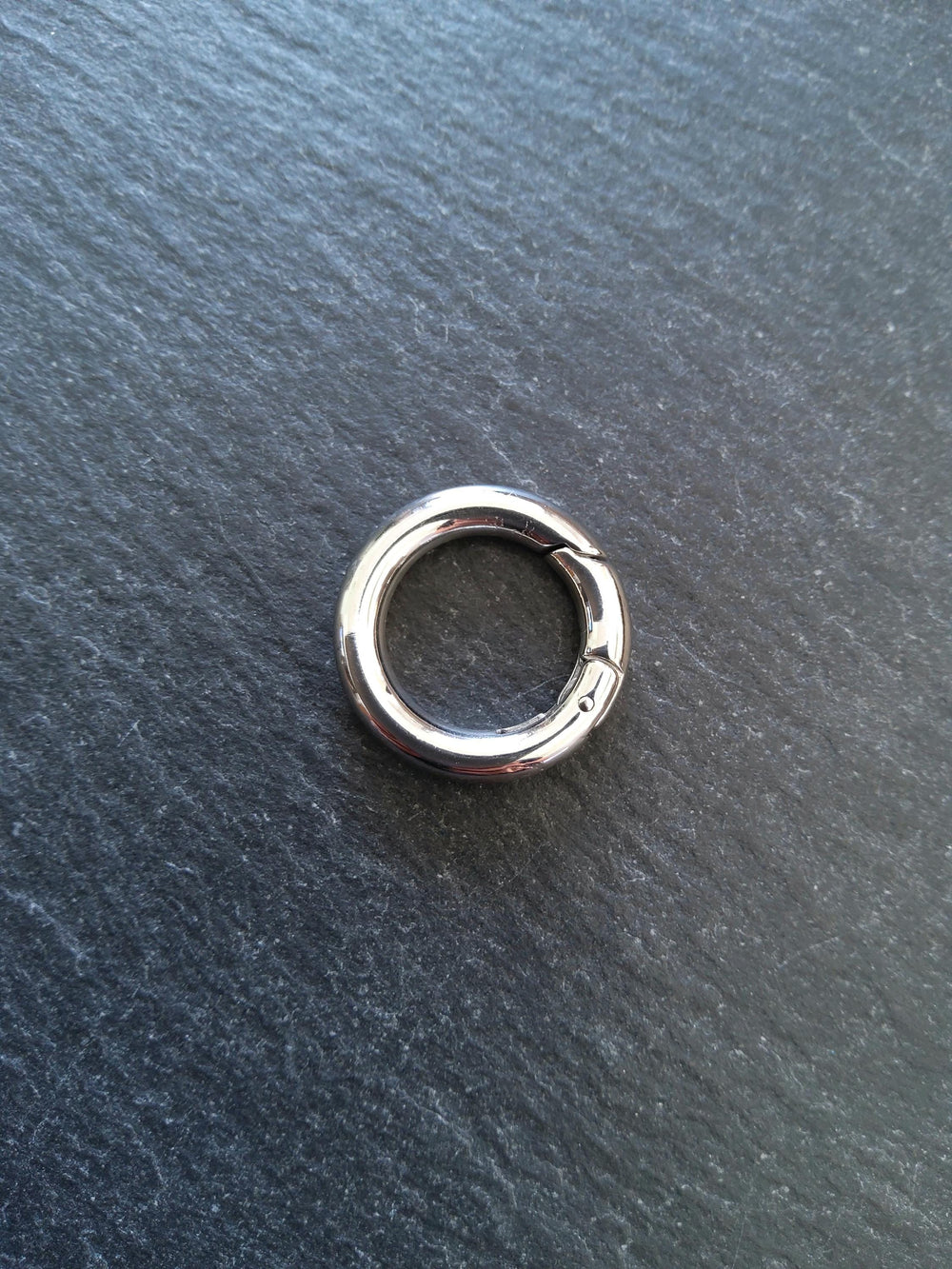 Stainless Steel 20mm Spring Gate Clasps 20x3.3mm O Rings