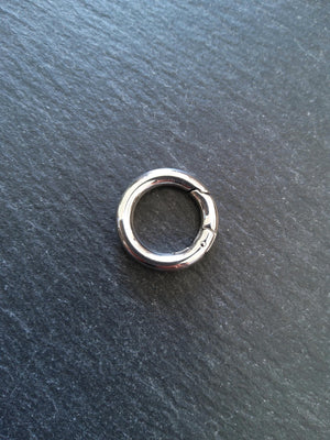 Stainless Steel 20mm Spring Gate Clasps 20x3.3mm O Rings