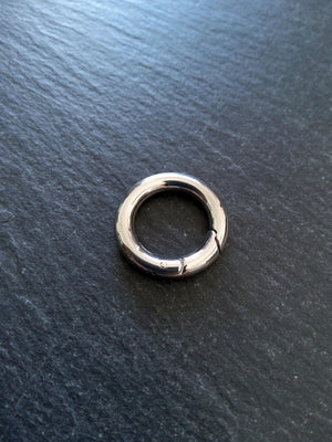 Stainless Steel 20mm Spring Gate Clasps 20x3.3mm O Rings