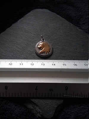 Surgical Steel Lion Charm Pendant Silver & Gold Tone 19x23x4mm