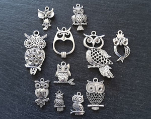 The Silver Owl Collection 2 - 11 Silver Tone Owl Charms 54x27mm to 21x11mm