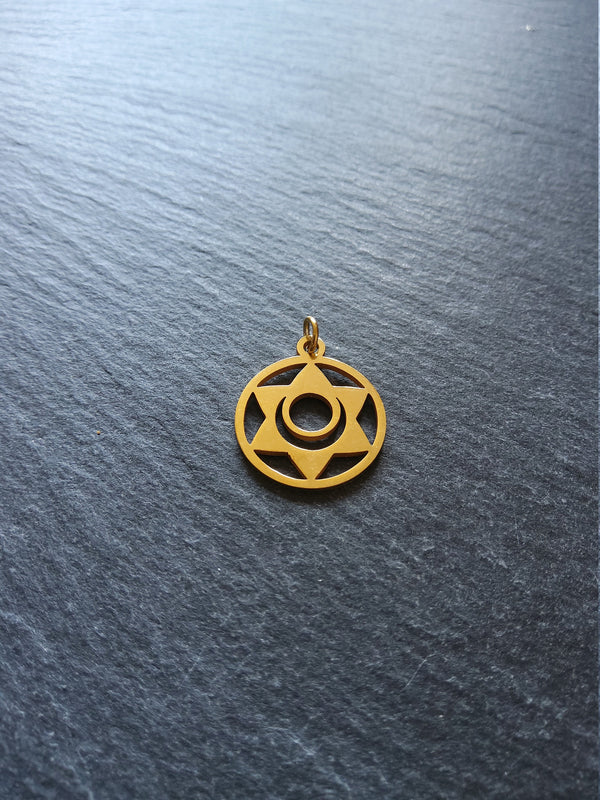 1 or 5 Gold Stainless Steel Sacral Chakra Svadhishthana Flower Charms Flat 22x19mm