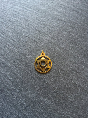 1 or 5 Gold Stainless Steel Sacral Chakra Svadhishthana Flower Charms Flat 22x19mm
