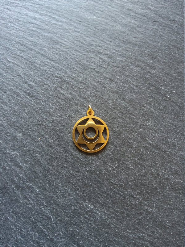 1 or 5 Gold Stainless Steel Sacral Chakra Svadhishthana Flower Charms Flat 22x19mm