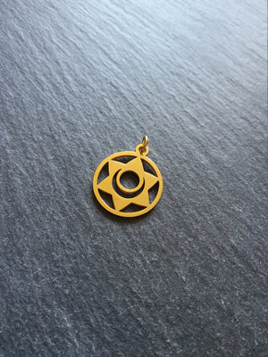 1 or 5 Gold Stainless Steel Sacral Chakra Svadhishthana Flower Charms Flat 22x19mm