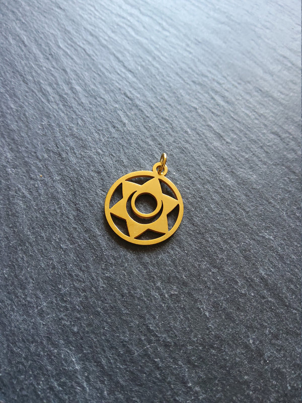 1 or 5 Gold Stainless Steel Sacral Chakra Svadhishthana Flower Charms Flat 22x19mm