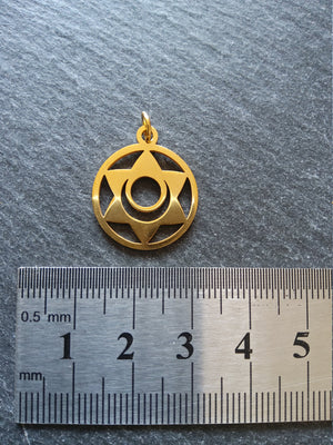 1 or 5 Gold Stainless Steel Sacral Chakra Svadhishthana Flower Charms Flat 22x19mm