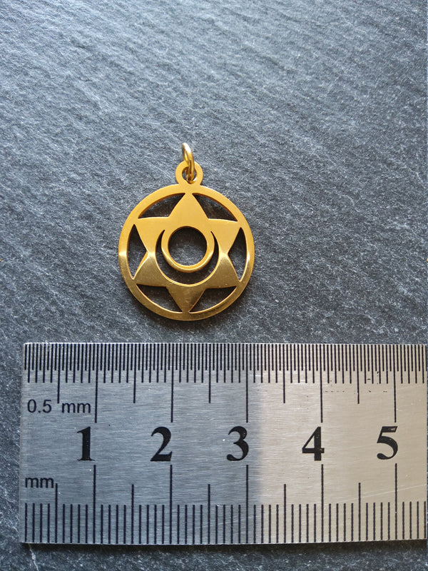 1 or 5 Gold Stainless Steel Sacral Chakra Svadhishthana Flower Charms Flat 22x19mm