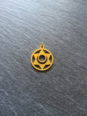 1 or 5 Gold Stainless Steel Sacral Chakra Svadhishthana Flower Charms Flat 22x19mm
