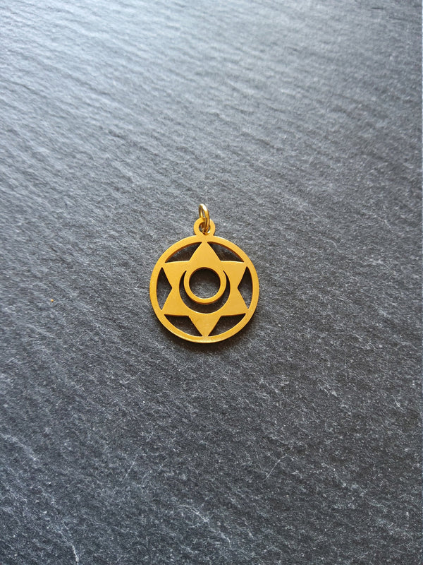 1 or 5 Gold Stainless Steel Sacral Chakra Svadhishthana Flower Charms Flat 22x19mm