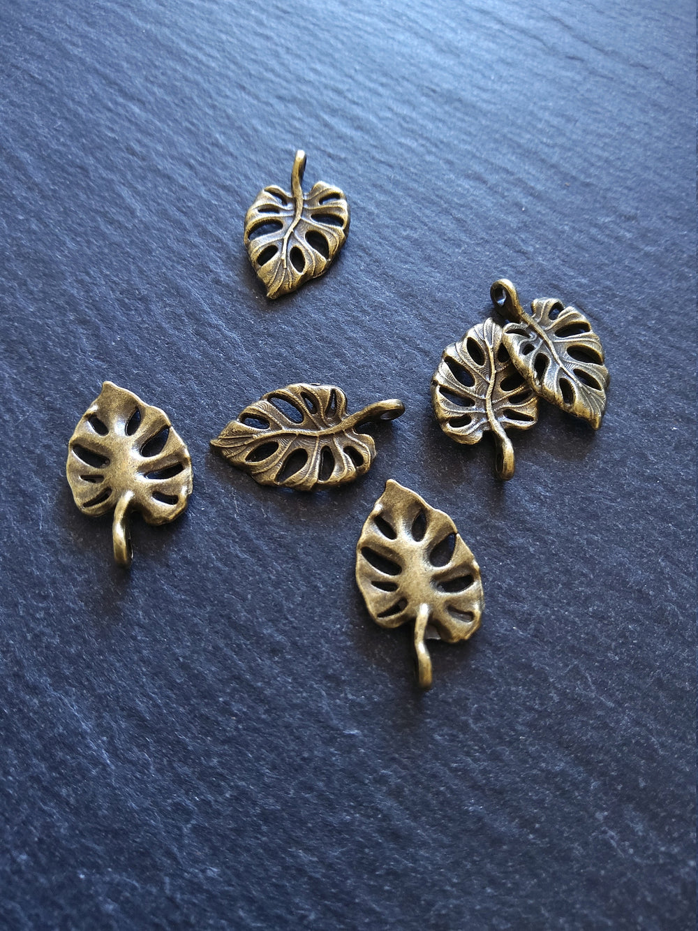 10 or 50 Antique Bronze Swiss Cheese Plant Leaf Charms Monstera Deliciosa 20x12mm