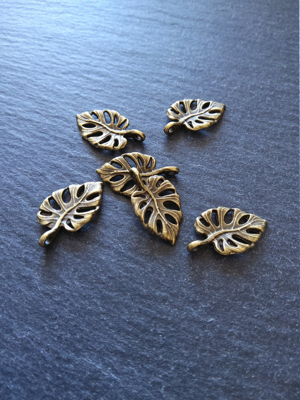 10 or 50 Antique Bronze Swiss Cheese Plant Leaf Charms Monstera Deliciosa 20x12mm