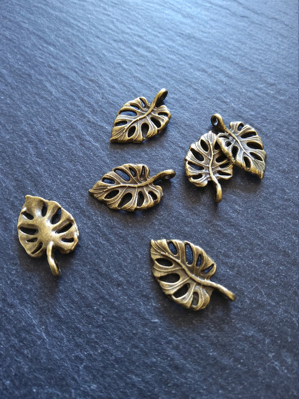 10 or 50 Antique Bronze Swiss Cheese Plant Leaf Charms Monstera Deliciosa 20x12mm