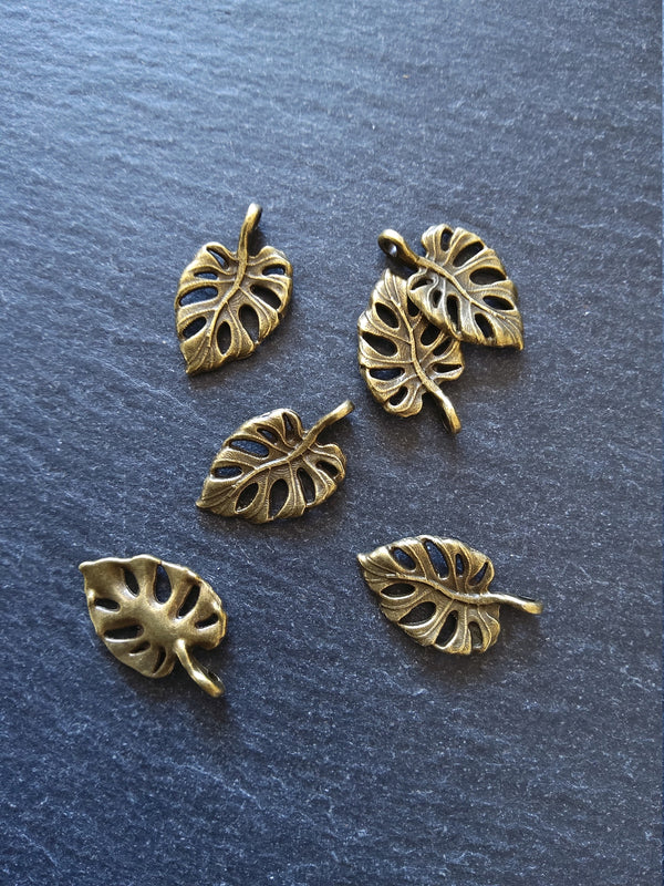 10 or 50 Antique Bronze Swiss Cheese Plant Leaf Charms Monstera Deliciosa 20x12mm