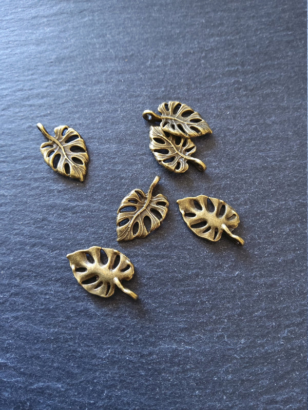 10 or 50 Antique Bronze Swiss Cheese Plant Leaf Charms Monstera Deliciosa 20x12mm