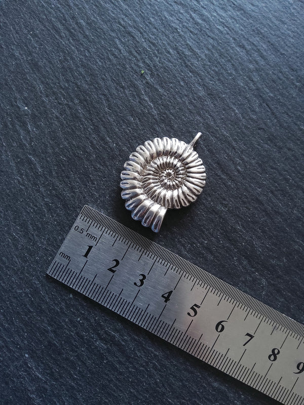 1 or 5 Sterling Silver Plated Ammonite Fossil Shell Pendants Silver Plated 37x27x7mm Lead & Nickel FREE