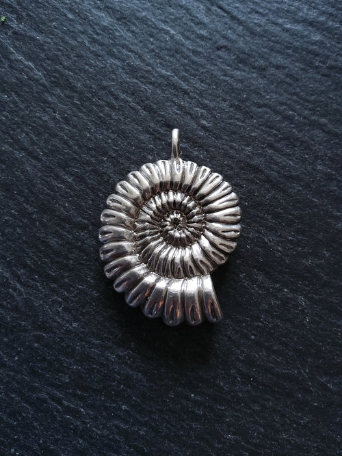 1 or 5 Sterling Silver Plated Ammonite Fossil Shell Pendants Silver Plated 37x27x7mm Lead & Nickel FREE