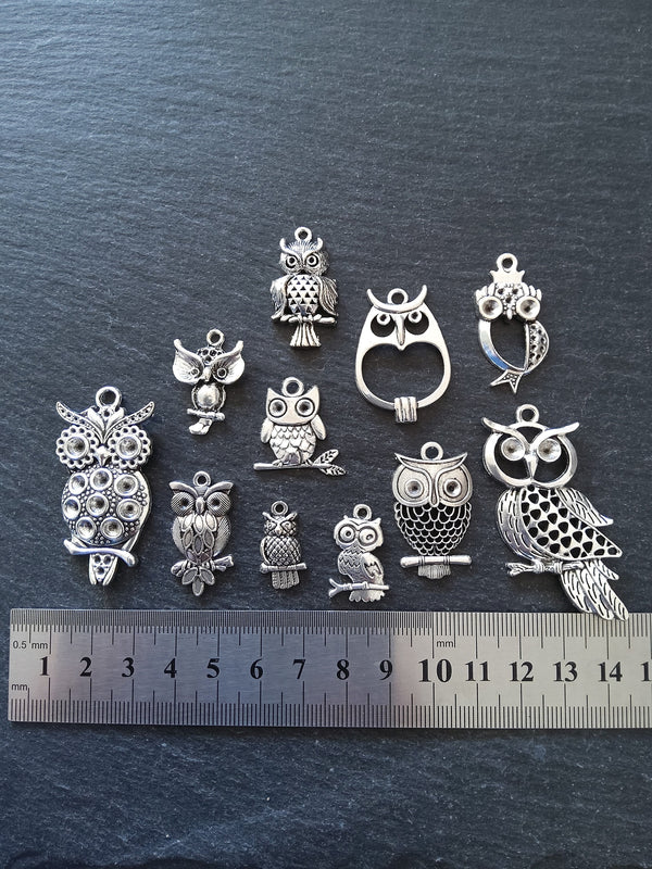 The Silver Owl Collection 2 - 11 Silver Tone Owl Charms 54x27mm to 21x11mm