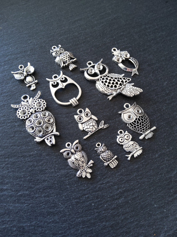 The Silver Owl Collection 2 - 11 Silver Tone Owl Charms 54x27mm to 21x11mm