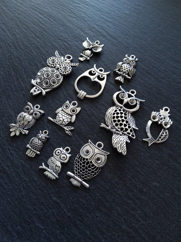 The Silver Owl Collection 2 - 11 Silver Tone Owl Charms 54x27mm to 21x11mm