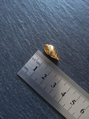 1 or 5 Sea Snail Shell Charms Real 18K Gold Plated Brass 16x9x7mm. Nickel FREE - ContentedCatz