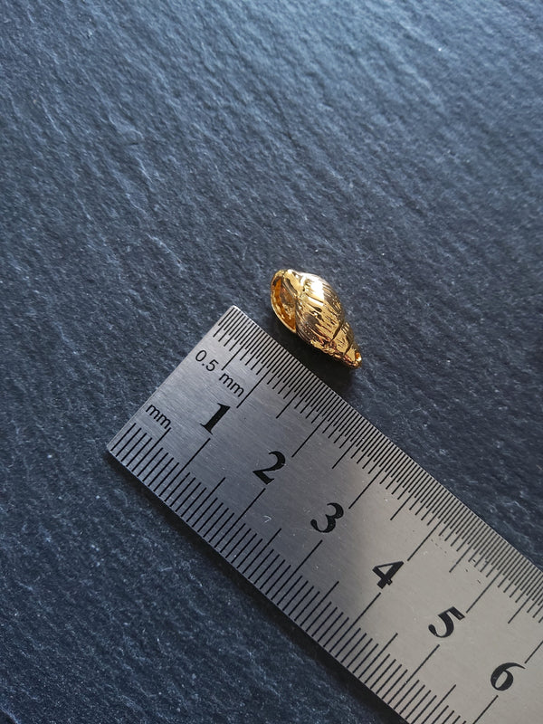 1 or 5 Sea Snail Shell Charms Real 18K Gold Plated Brass 16x9x7mm. Nickel FREE - ContentedCatz