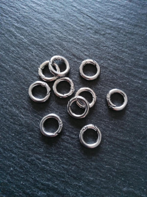 Stainless Steel 12mm Spring Gate Clasps 12x2mm O Rings