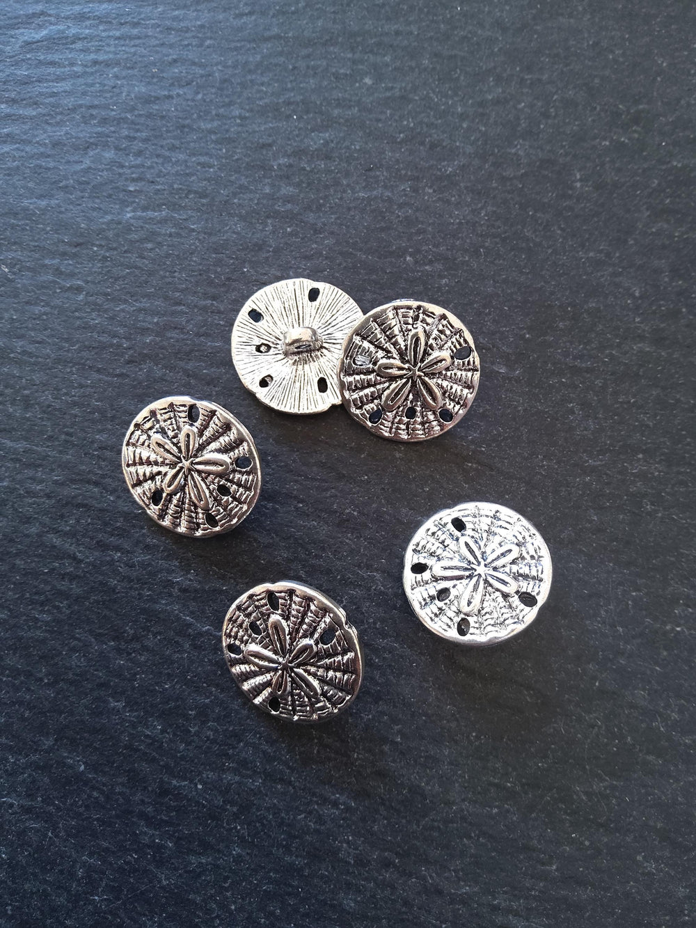 6 or 30 Sand Dollar Silver Tone Metal Alloy Buttons 18mm (6/8") Fasteners