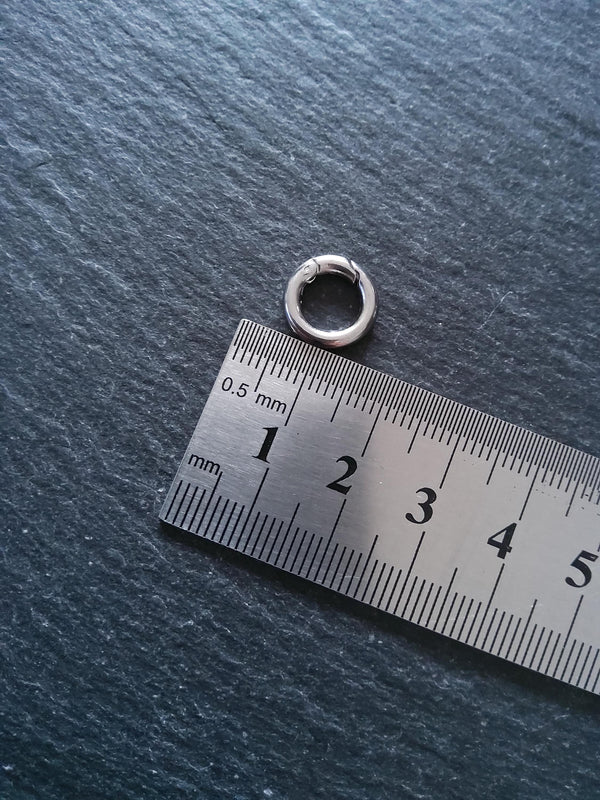 Stainless Steel 12mm Spring Gate Clasps 12x2mm O Rings