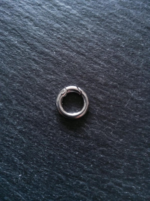 Stainless Steel 12mm Spring Gate Clasps 12x2mm O Rings