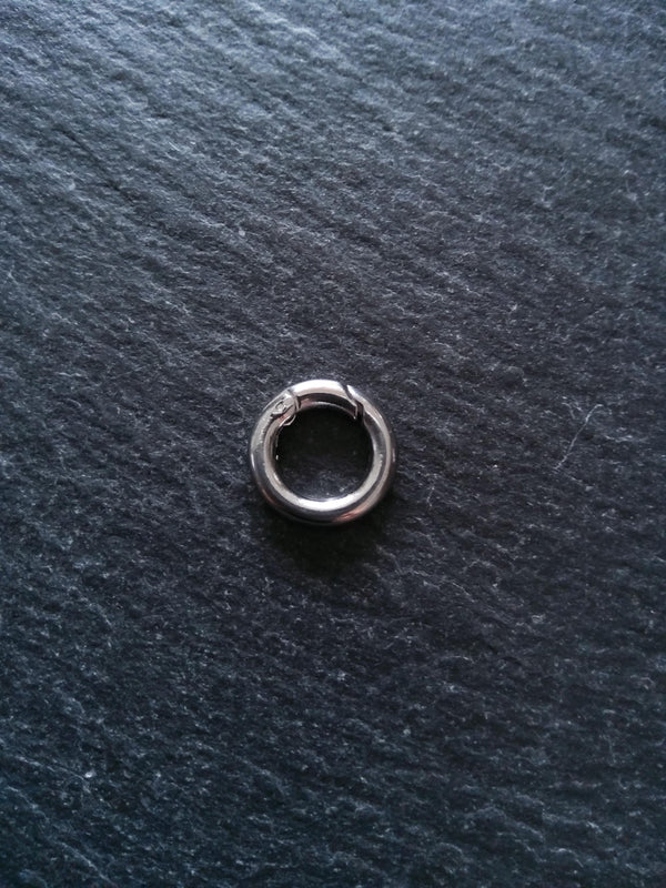 Stainless Steel 12mm Spring Gate Clasps 12x2mm O Rings