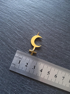 Gold Stainless Steel Lilith Moon Pendant 30x15.5x1.2mm